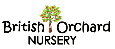 British Orchard Nursery | Dubai Media City