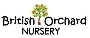 British Orchard Nursery | Mirdif, Dubai