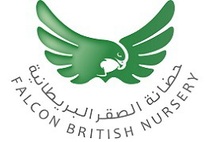 Falcon British Nursery | Zayed Sports City, Abu Dhabi