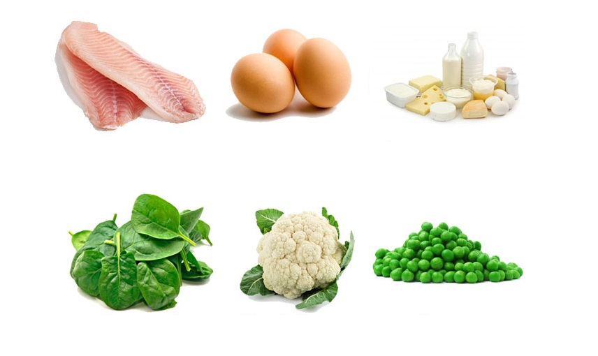 Proteins for Kids - Body Building Nutrient -uaenurseries.ae Proteins for Kids - Body Building Nutrient -uaenurseries.ae